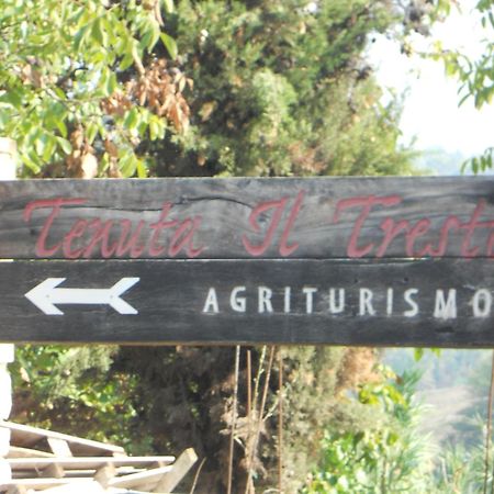 Tenuta Il Tresto Poggibonsi Bagian luar foto