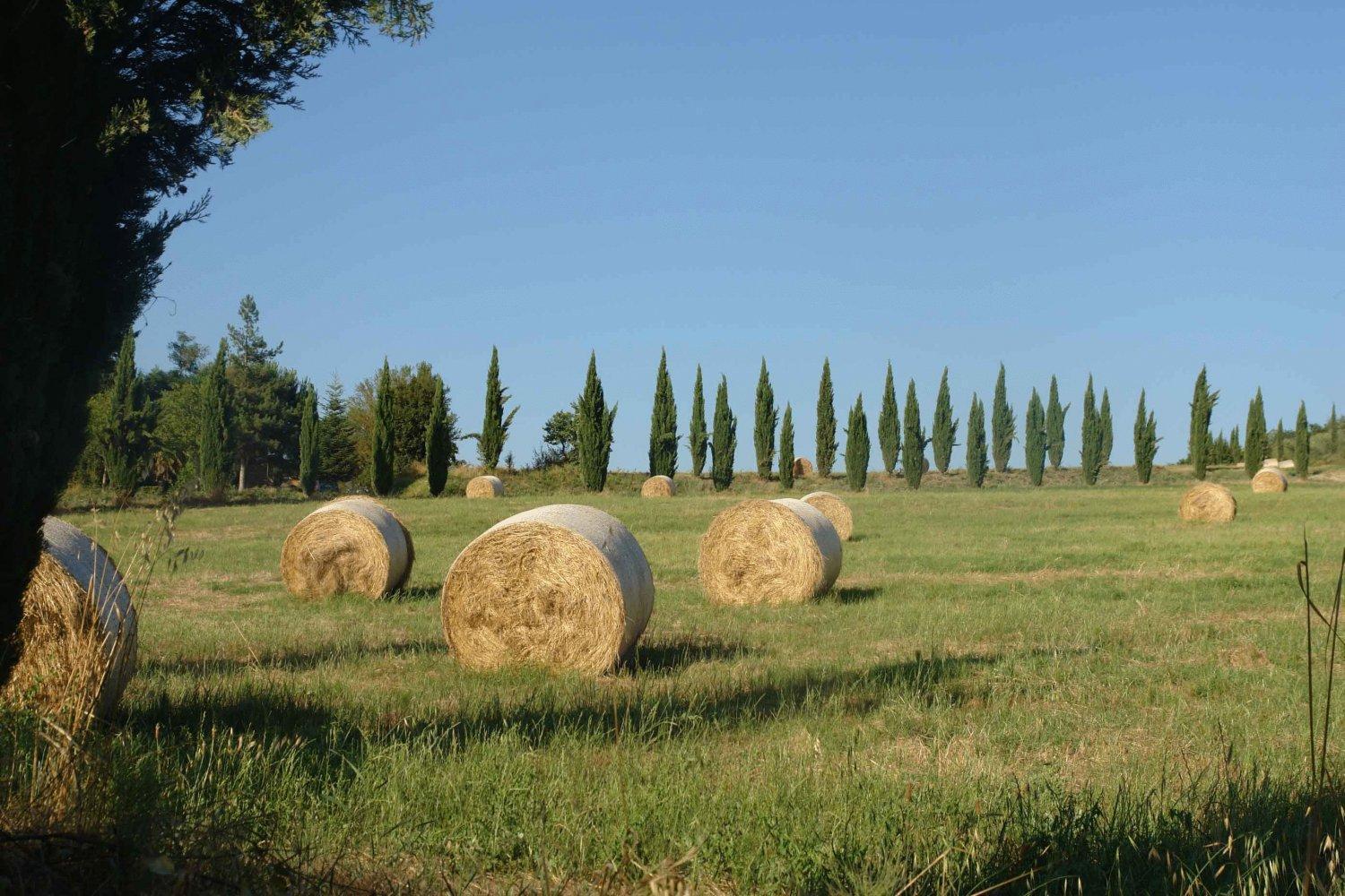 Tenuta Il Tresto Poggibonsi Bagian luar foto