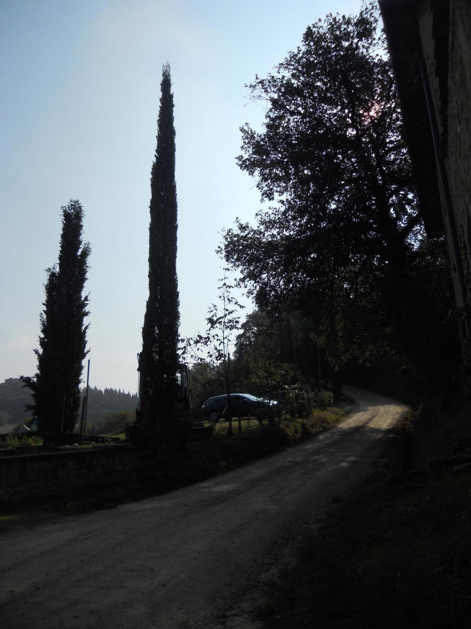 Tenuta Il Tresto Poggibonsi Bagian luar foto