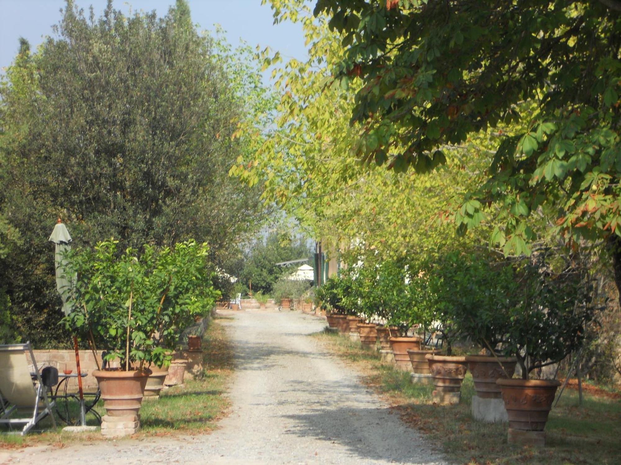 Tenuta Il Tresto Poggibonsi Bagian luar foto