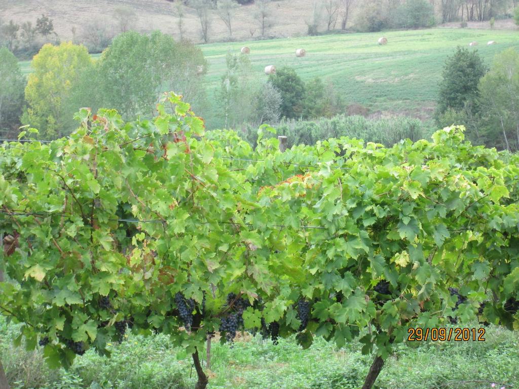 Tenuta Il Tresto Poggibonsi Bagian luar foto