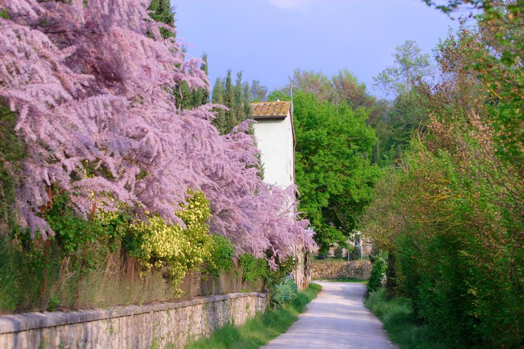 Tenuta Il Tresto Poggibonsi Bagian luar foto