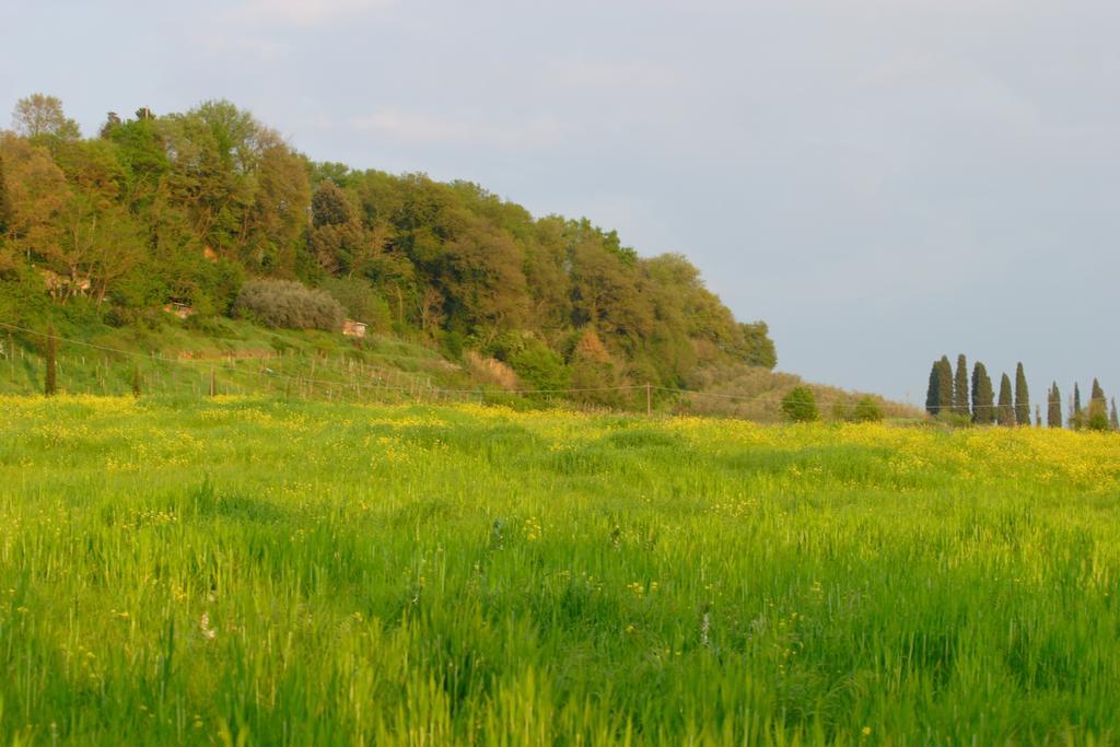 Tenuta Il Tresto Poggibonsi Bagian luar foto