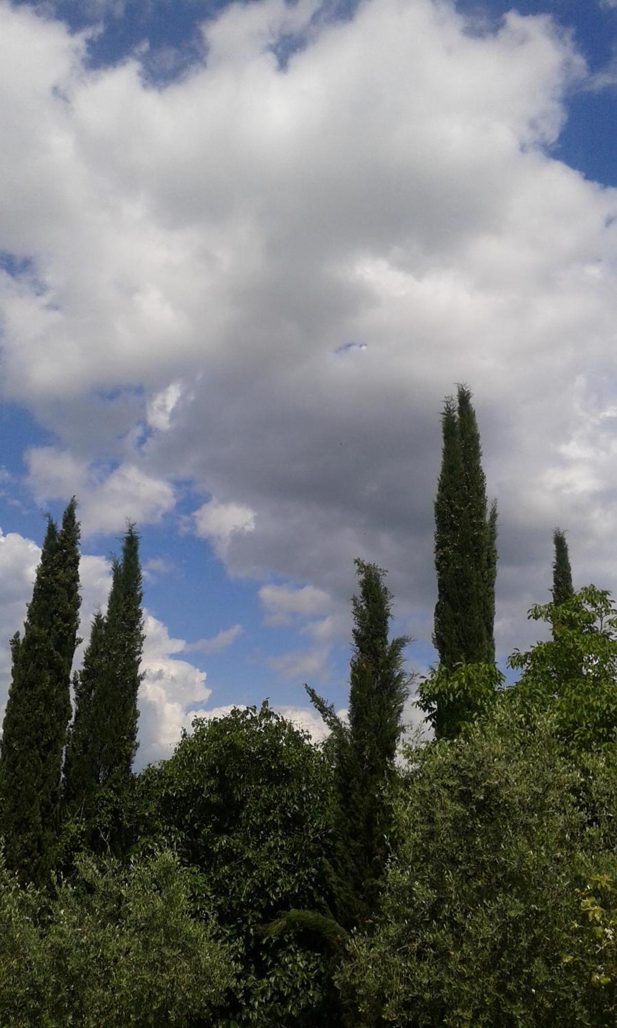 Tenuta Il Tresto Poggibonsi Bagian luar foto